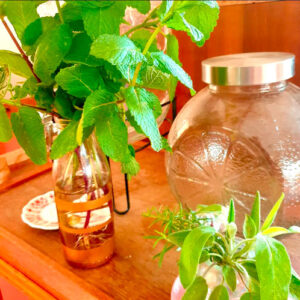 ambiance-cafe-8