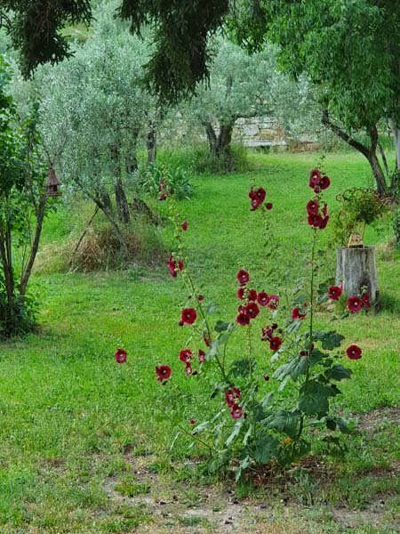 Jardin