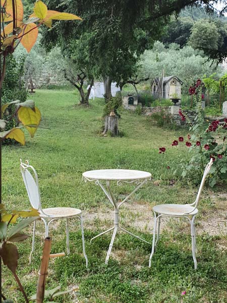 Terasse, jardin et champ d'oliviers
