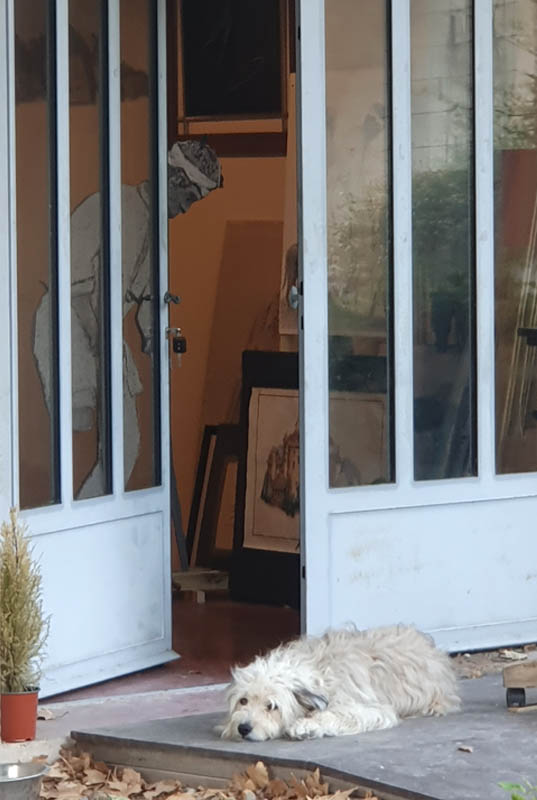 James Dooley, artiste, sculpteur, écrivain, nyons, américain, irlandais